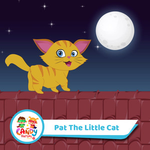 Pat The Little Cat