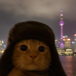 SAMI DID (feat. Conway the Machine, Dave East, Styles P & Rick Ross) (Explicit)