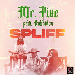 Spliff (feat. Gabbidon)