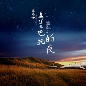 乌兰巴托的夜