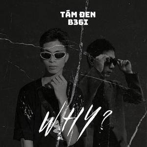 Why (feat. Tám Đen & B36i) [RMX] [Explicit]