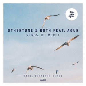 Wings of Mercy (Original Mix)