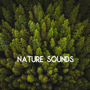 Nature Sounds - Sleep and Relaxation (Loopable)