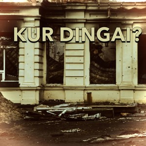 Kur dingai?