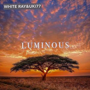 Luminous