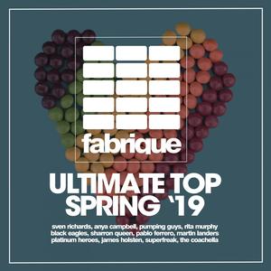 Ultimate Top Spring '19