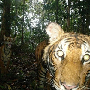 fukitup (feat. BENZTRACKZ) (Explicit)