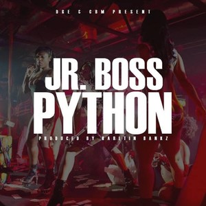 Python (Explicit)