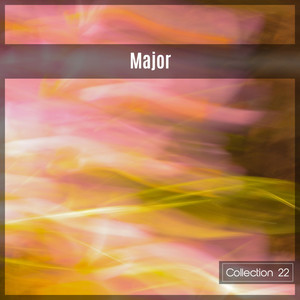 Major Collection 22