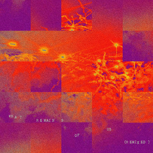 The Last (Asia Dojnikowska Remix)