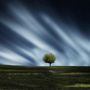 Angel Whispers