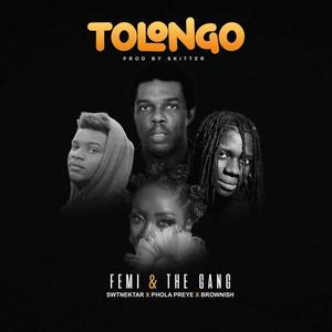 Tolongo (feat. SwtNektar, BrownIsh & PholaPreye)