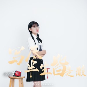 写尽半生尽是酸 (DJ小树芬版)