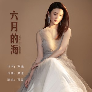六月的海