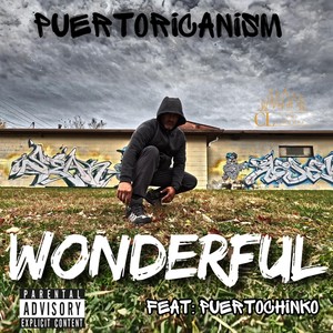 Wonderful (Explicit)