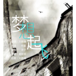 梦想起飞