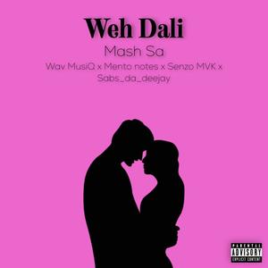 Weh Dali (feat. Wav MusiQ, Mento Notes, Senzo MVK & Sabs_da_deejay)