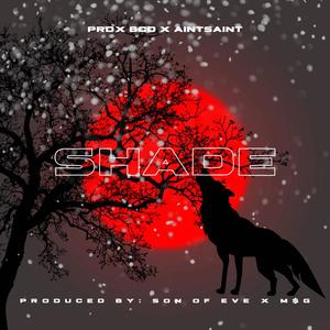 Shade (feat. AINTSAINT) (Explicit)