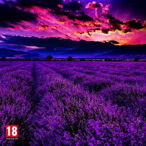 222+ (feat. Mike Lavender & KILLYOURDARLINGS) (Explicit)