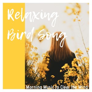 Relaxing Bird Song: Morning Music to Clear the Mind