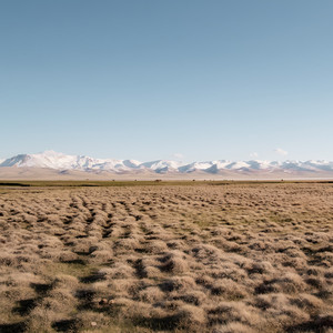 Os Fortes Não Choram