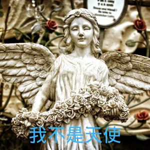 快乐的等待封面