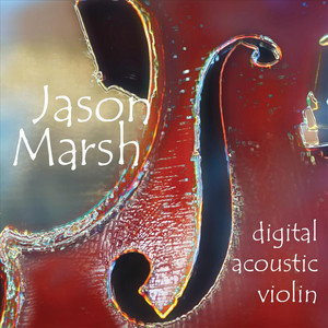 Digital Acoustic Violin