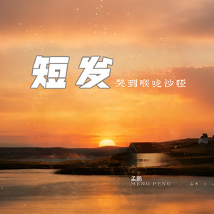 短发 (哭到喉咙沙哑)封面