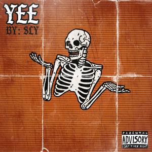 Yee (Explicit)