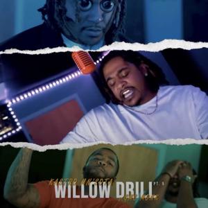 Willow Drill Pt.5 (Explicit)