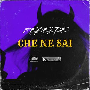 CHE NE SAI (Explicit)