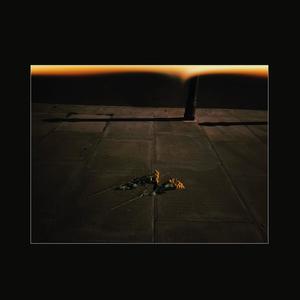 Moments From The Fun (Explicit)