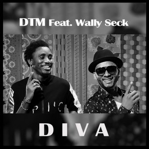 Diva(feat. Wally Seck)