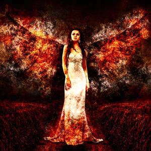 Necessary Evol (Explicit)