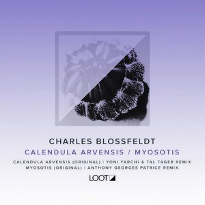 Calendula Arvensis (Yoni Yarchi & Tal Tager Remix)