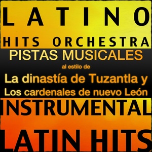 Pistas Musicales al Estilo de la Dinastía de Tuzantla y los Cardenales de Nuevo León (Instrumental Karaoke tracks)