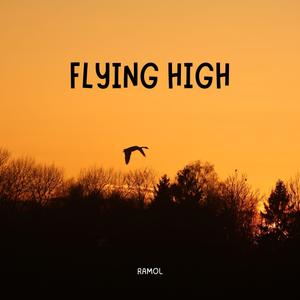 Flying High