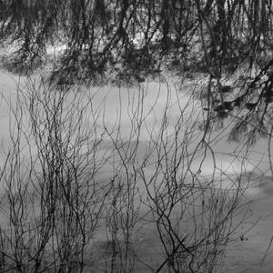 Black Waters