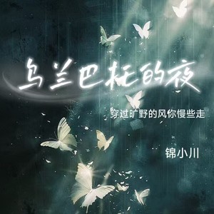 乌兰巴托的夜（穿过旷野的风你慢些走）