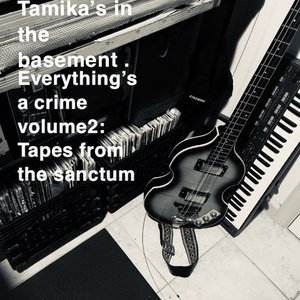 Tamika's In The Basement : Everything's A Crime Volume 2 (Tapes From The Sanctum)