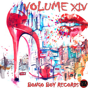 Bongo Boy Records VOLUME XIV