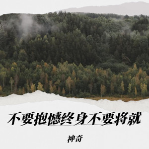 不要抱憾终身(不要将就)