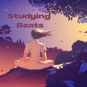 Studying Beats