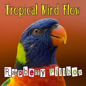 Tropical Mind Flow