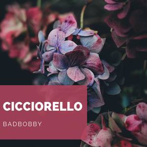 Cicciorello