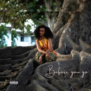 Before you go (feat. Swice) (Explicit)