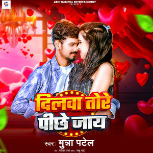 Dilwa Tore Pichhe Jay