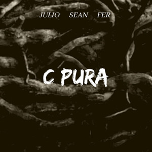 C PURA (Explicit)