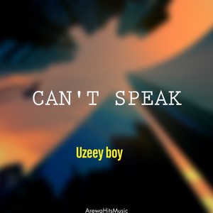 Uzeey Boy (Can't Speak)