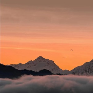 情随事迁 无喜亦无惧